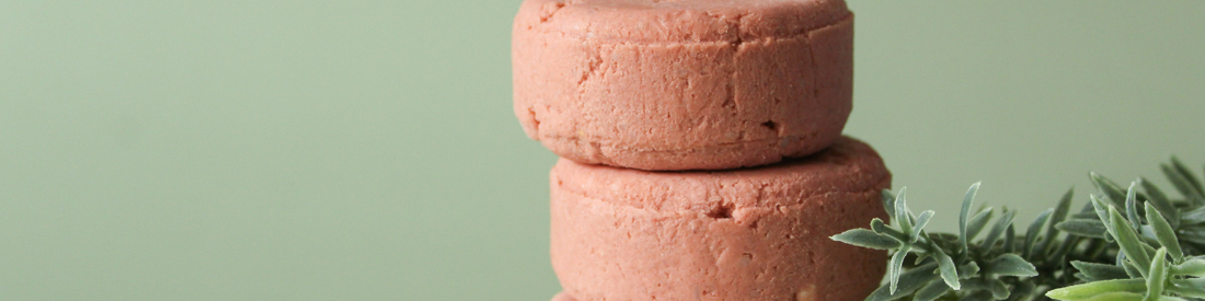 🌿 Which Shampoo + Conditioner Bar is Right for You? A Simple Guide to Healthier Hair