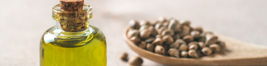 What's the Deal with Hemp Seed Oil?