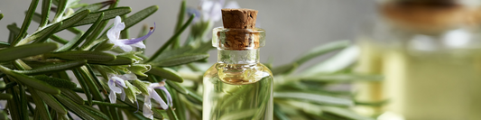 The Truth About Natural Preservatives: Why Vitamin E and Rosemary Extract Aren’t Enough