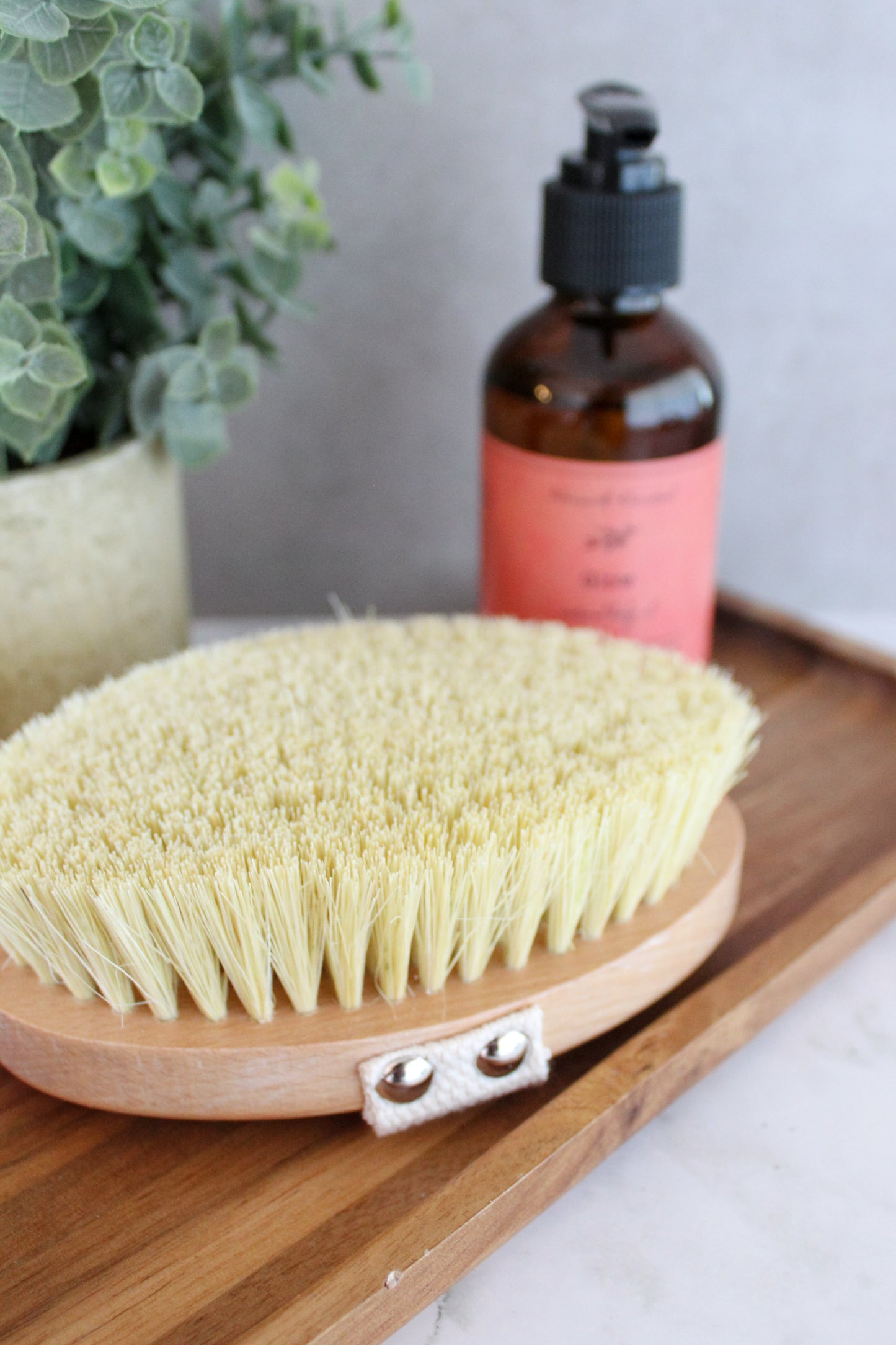 Oval Dry Brush | Eco-Friendly