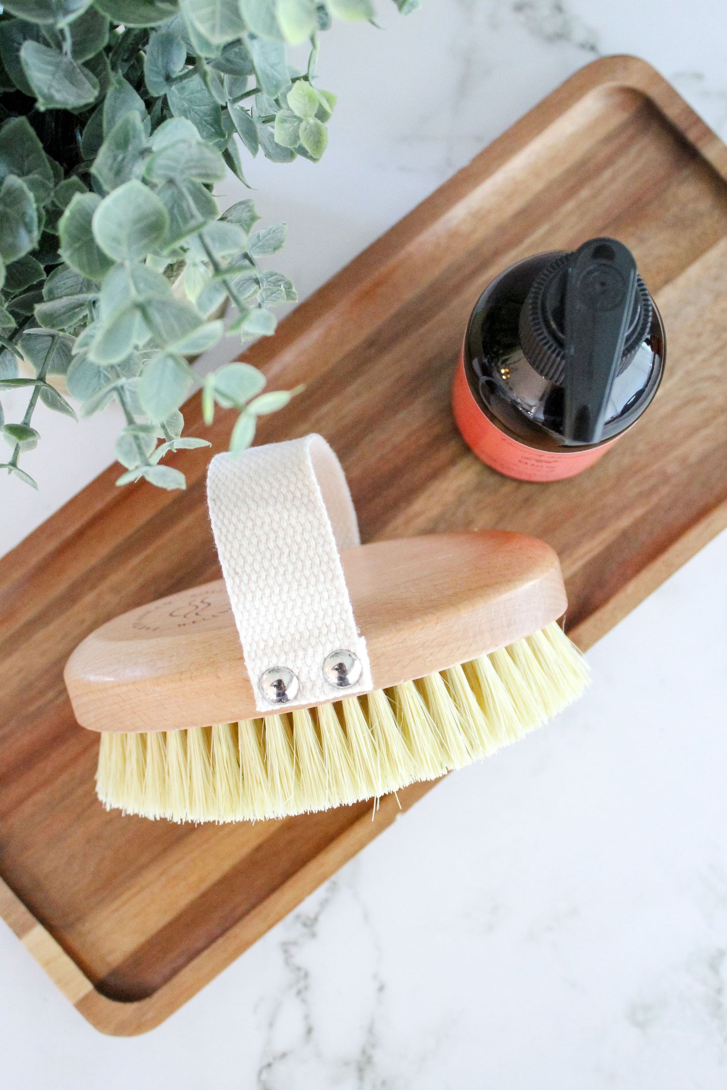 Oval Dry Brush | Eco-Friendly