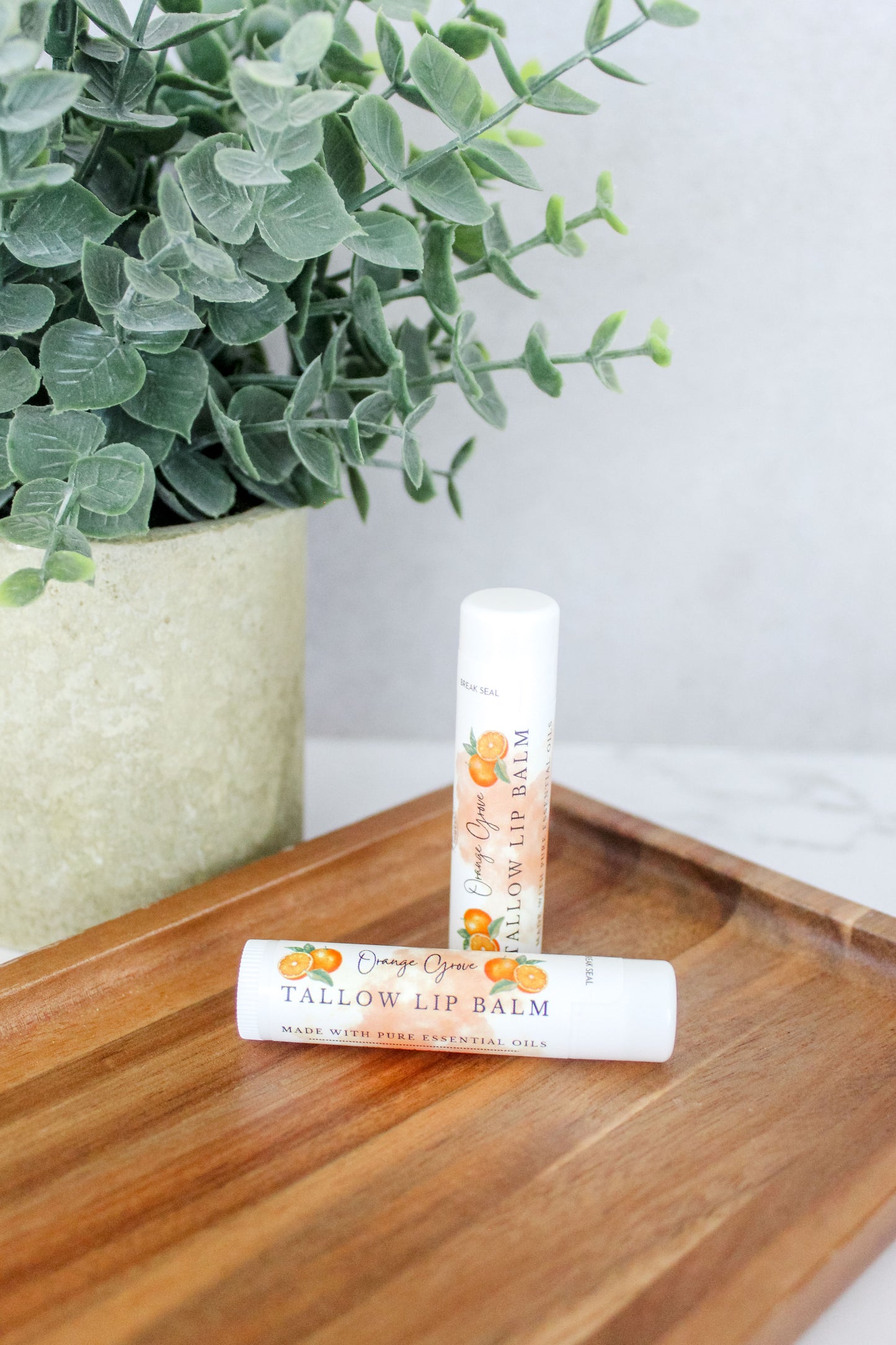 Orange Grove Tallow Lip Balm | Seasonal