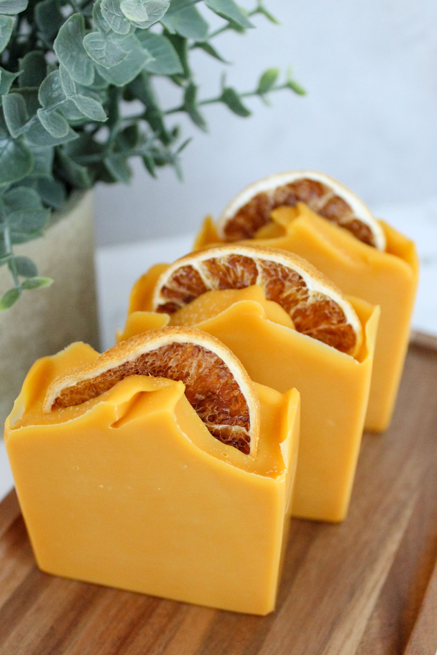 Orange Grove Bar Soap | Seasonal