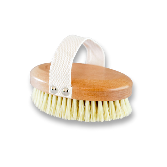 Oval Dry Brush | Eco-Friendly