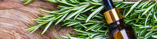 Rosemary Oil vs Minoxidil: What the Research Actually Says