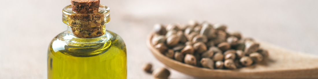 What's the Deal with Hemp Seed Oil?