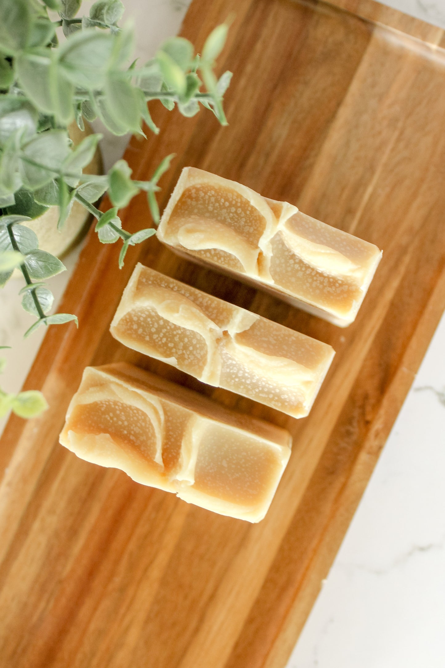 Goat Milk + Honey Bar Soap