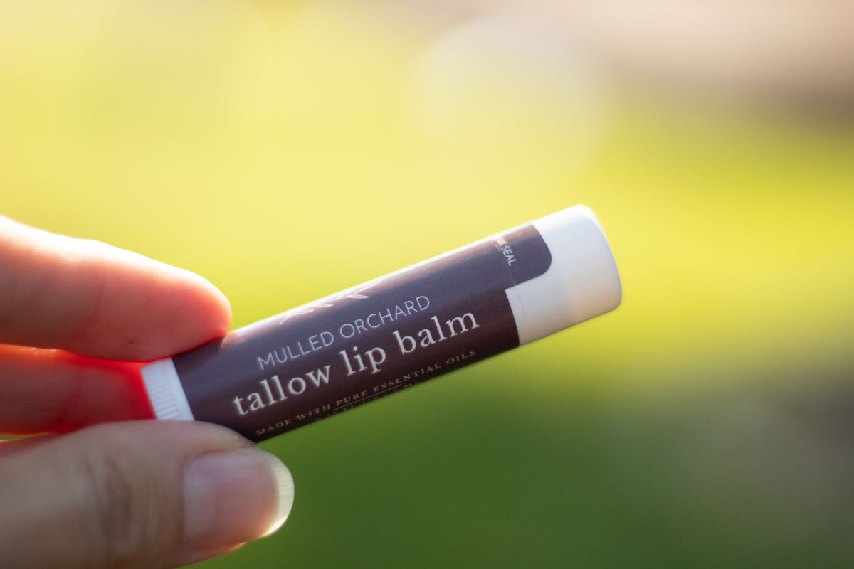 Hand holding a tube of Mulled Orchard tallow lip balm outdoors with a blurred green background