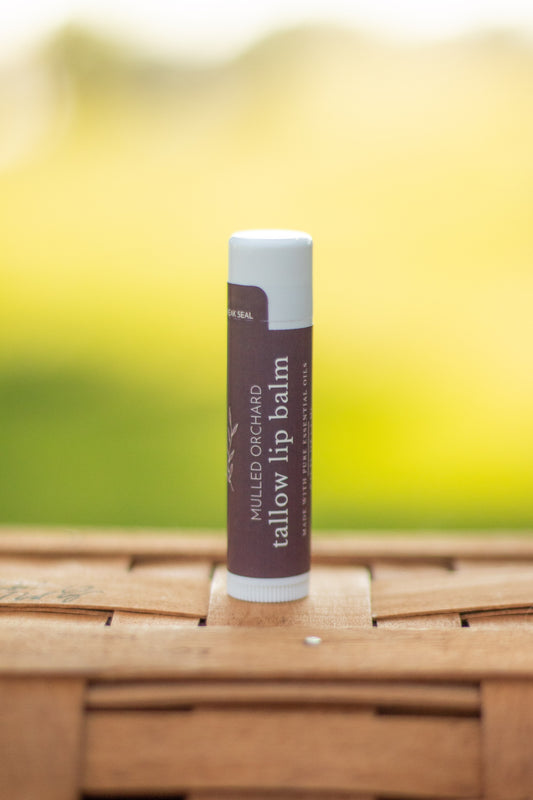 Mulled Orchard tallow lip balm tube standing on a wicker basket