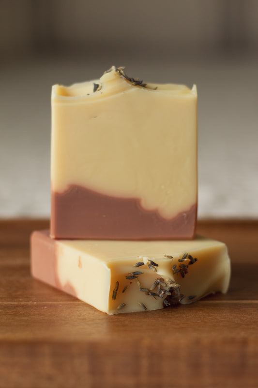 Two bars of Lemon + Lavender soap stacked, showing the cream and mauve layers with dried lavender buds on top