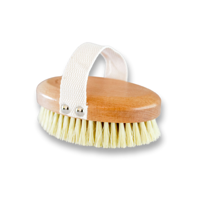 Oval Dry Brush | Eco-Friendly