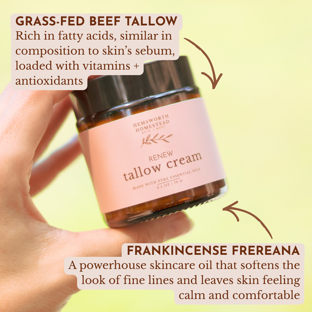 Hand holding a jar of Renew Tallow Cream from Hemsworth Homestead, with ingredient callouts for grass-fed beef tallow and frankincense frereana oil