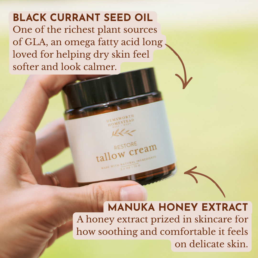 Hand holding a jar of Restore Tallow Cream from Hemsworth Homestead, with ingredient callouts for black currant seed oil and manuka honey extract