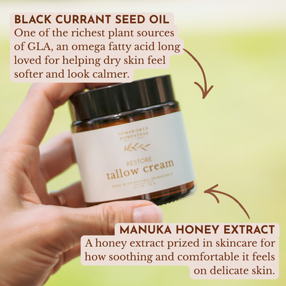 Hand holding a jar of Restore Tallow Cream from Hemsworth Homestead, with ingredient callouts for black currant seed oil and manuka honey extract